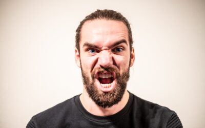 Beweislastumkehr und Durchgriffshaftung bei Gewährleistung